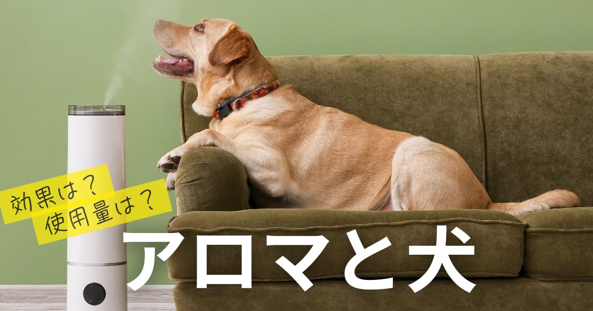 アロマと犬