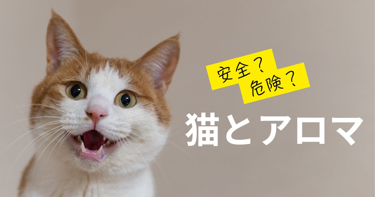 猫とアロマ